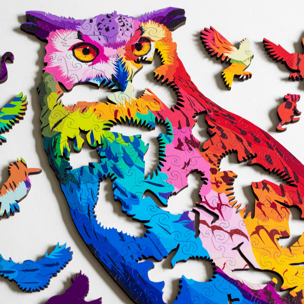 A Hoot of Many Colors Puzzle - Image 3