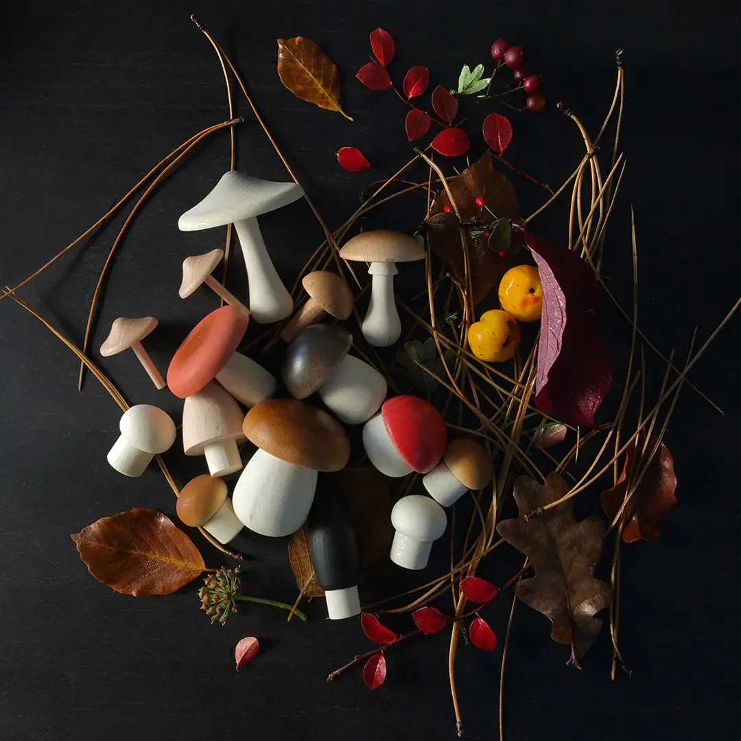 Forest Mushrooms in a Box - Image 4