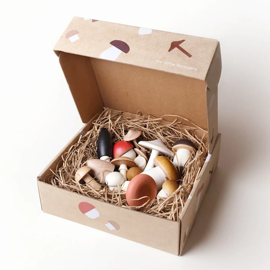 Forest Mushrooms in a Box - Image 5