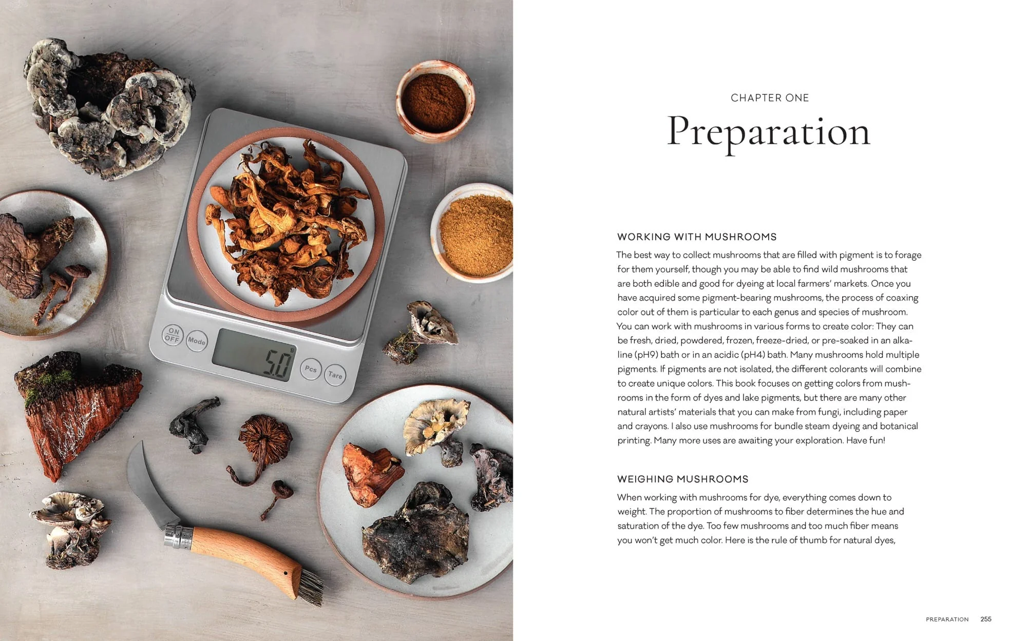 Mushroom Color Atlas - Image 5