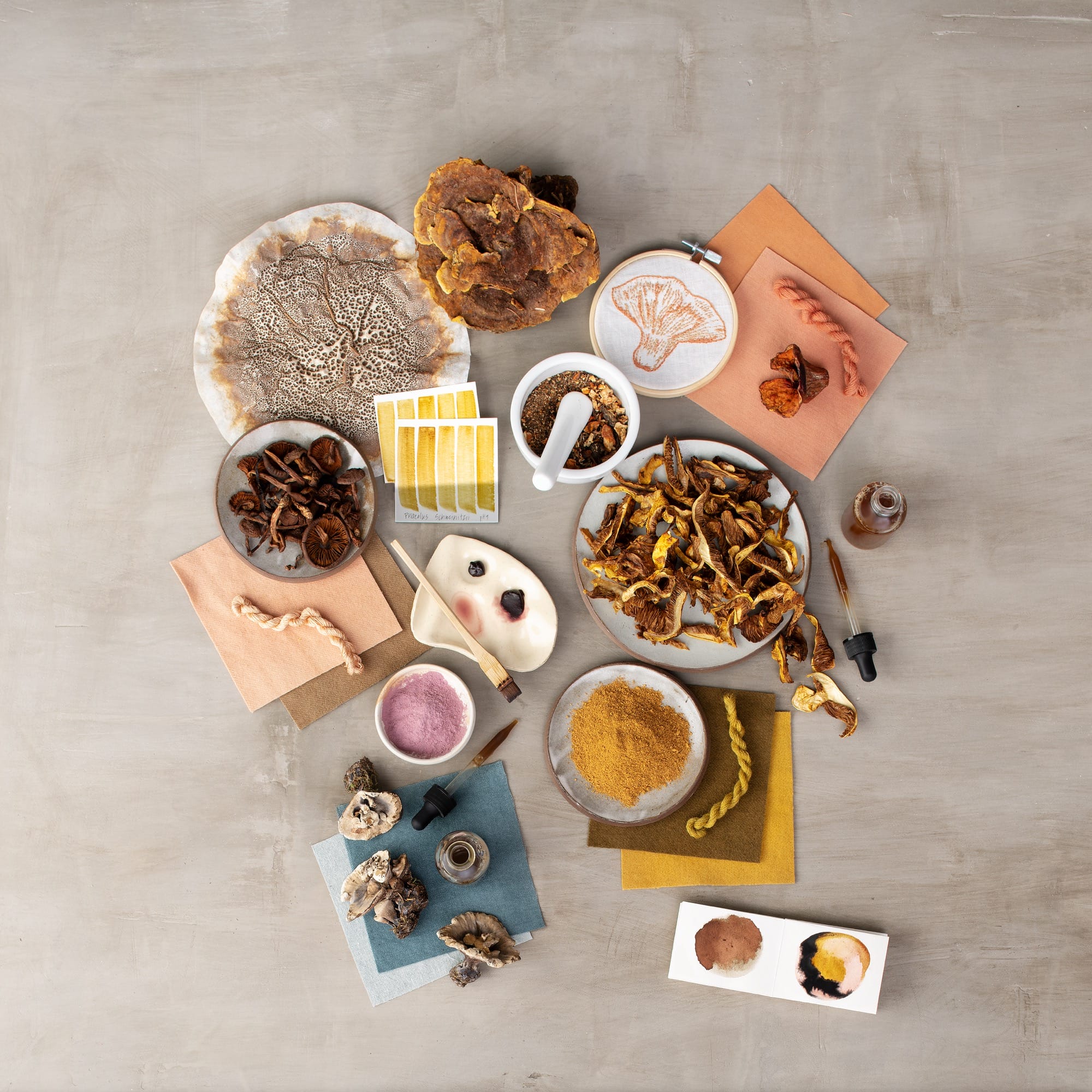 Mushroom Color Atlas - Image 6