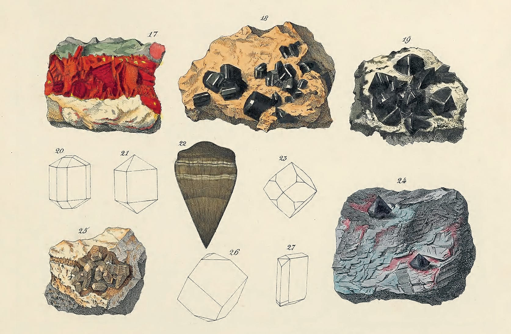 Nature’s Palette: A Color Reference System from the Natural World - Image 4