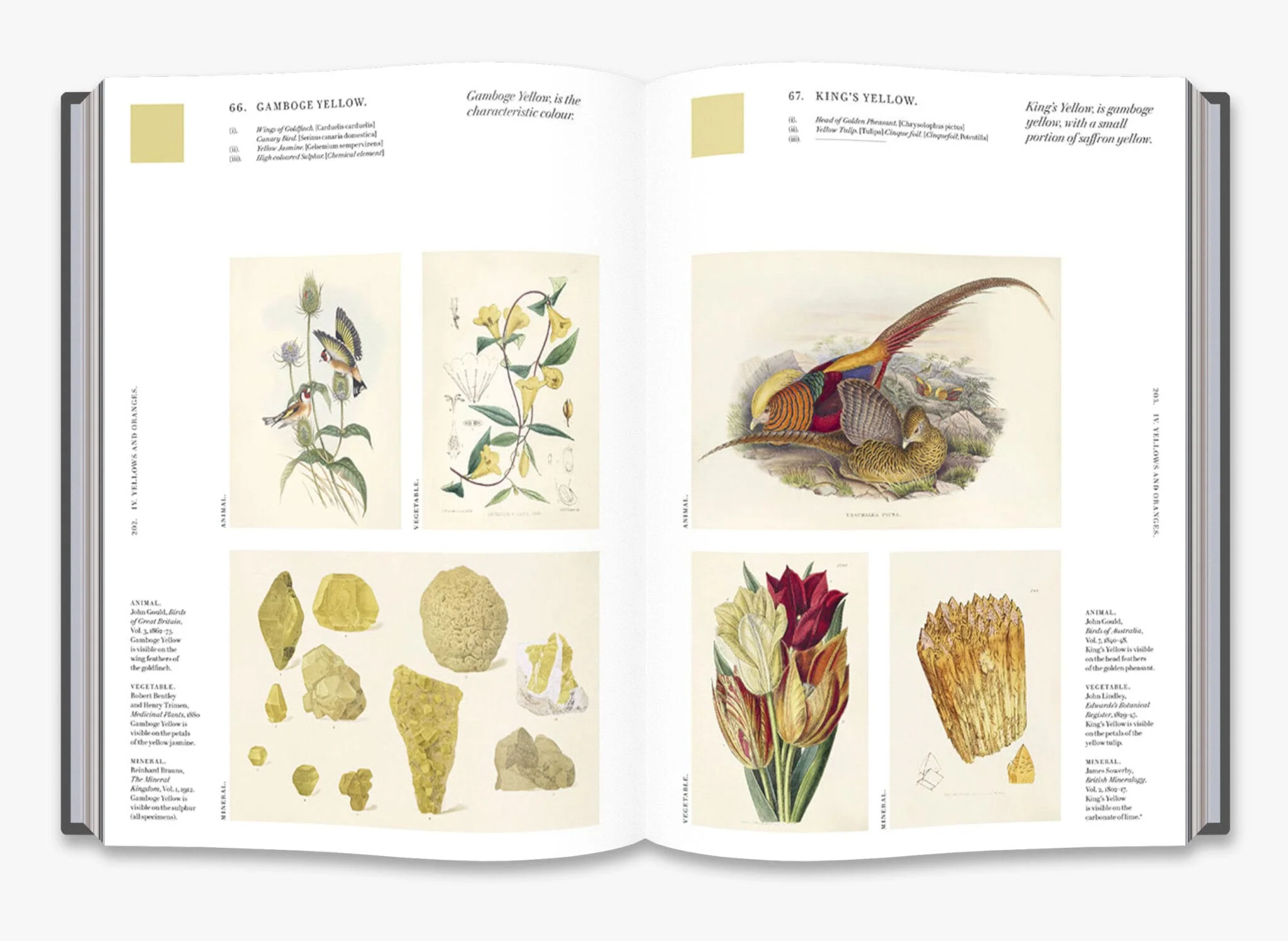 Nature’s Palette: A Color Reference System from the Natural World - Image 5