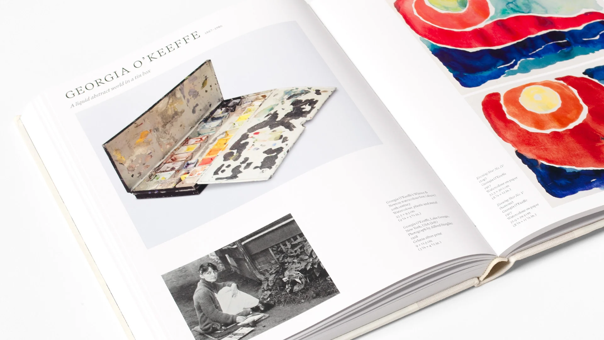 The Artist's Palette - Image 4