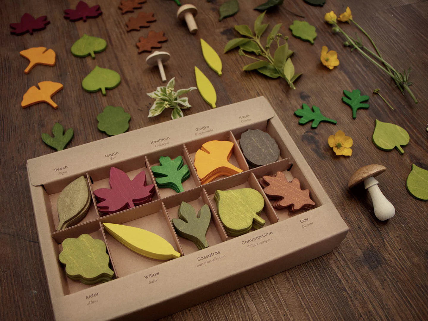 Woodland Leaves - Image 3