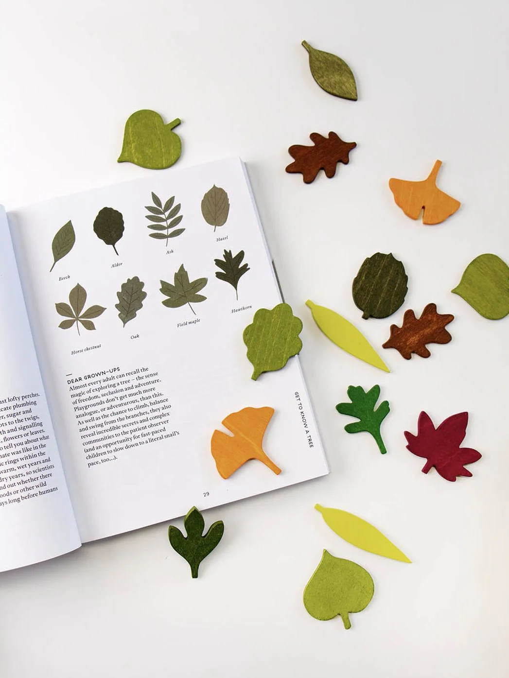 Woodland Leaves - Image 5